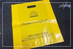 Túi hột xoài PE - Bao Bì Nhất Khang - Công Ty TNHH Sản Xuất & In ấn Bao Bì Nhất Khang